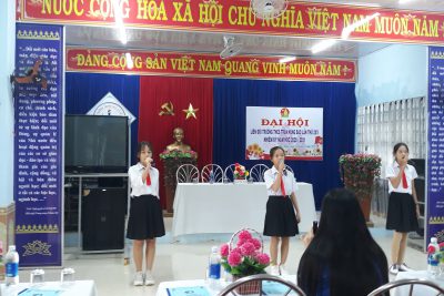 Đại hội liên đội